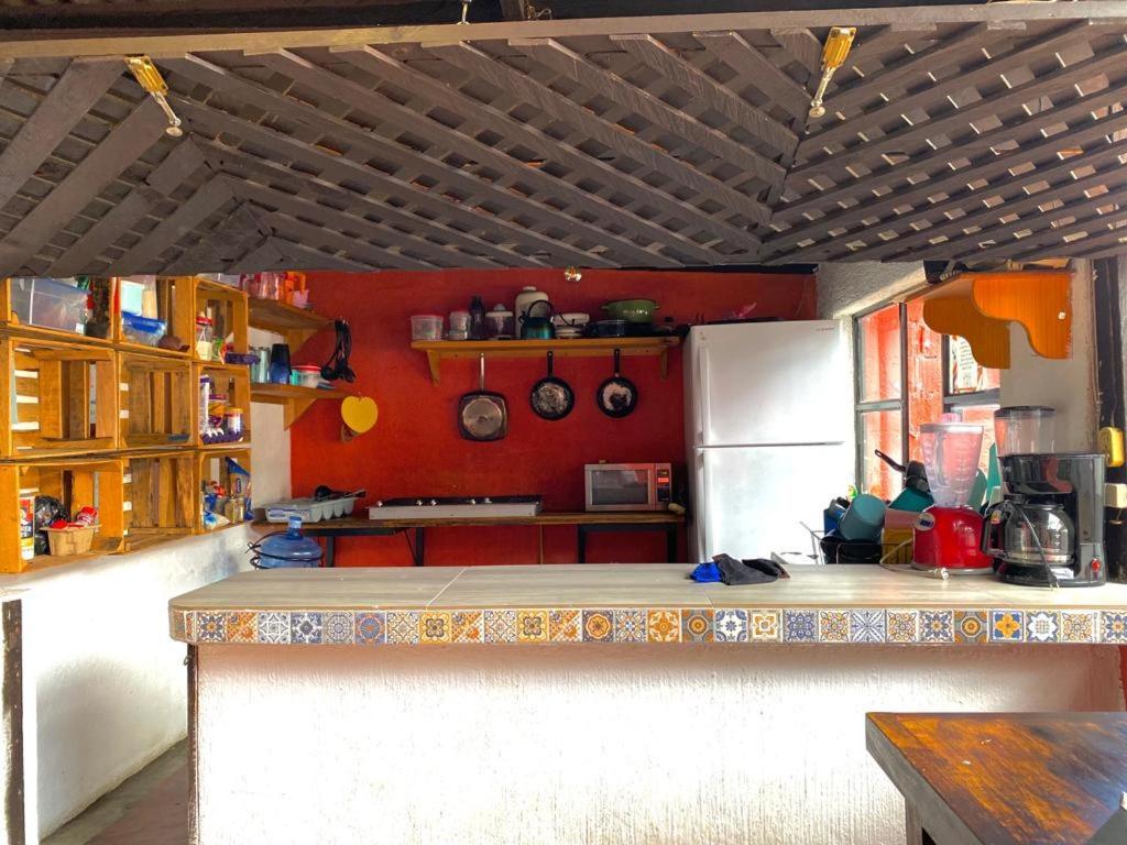 Hotel Berlin61 San Cristóbal de Las Casas Esterno foto
