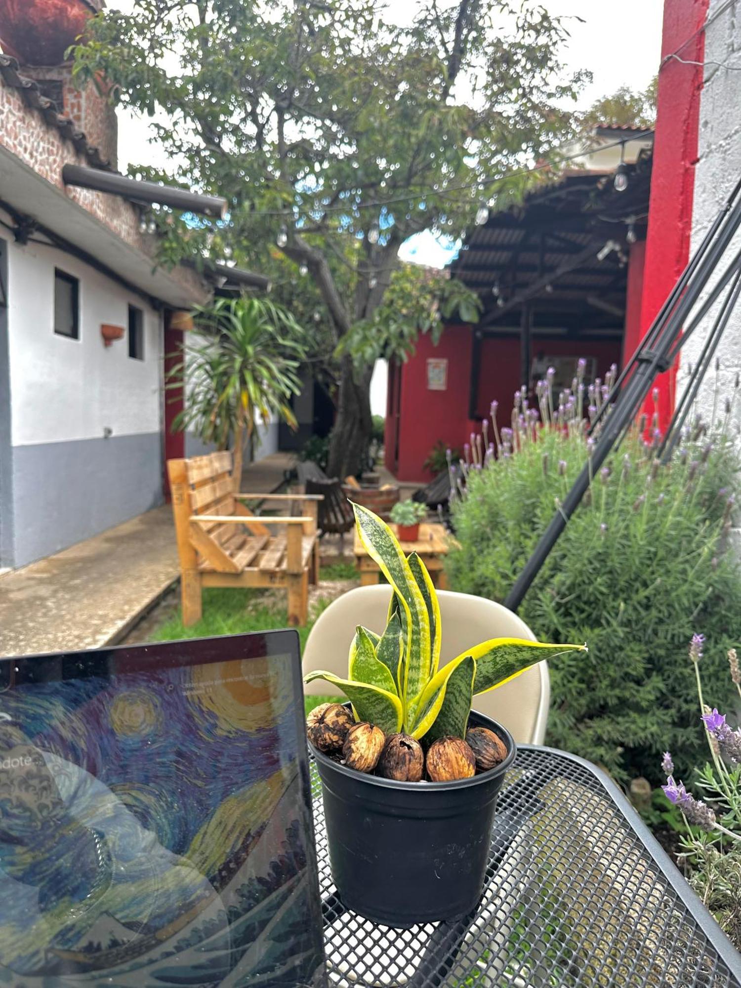 Hotel Berlin61 San Cristóbal de Las Casas Esterno foto