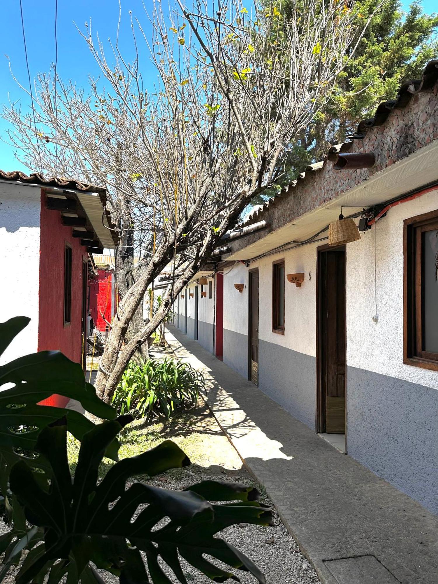 Hotel Berlin61 San Cristóbal de Las Casas Esterno foto